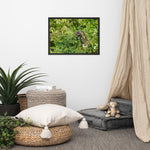 Load image into Gallery viewer, Distant Dragon - BFW Framed matte paper poster
