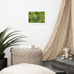 Load image into Gallery viewer, Distant Dragon - BFW Framed matte paper poster
