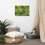 Load image into Gallery viewer, Distant Dragon - BFW Framed matte paper poster
