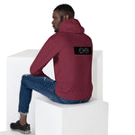 Load image into Gallery viewer, Hidden Truth Mask - BFW Unisex Hoodie
