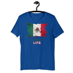 Load image into Gallery viewer, Mexico RL BFW - Unisex t-shirt
